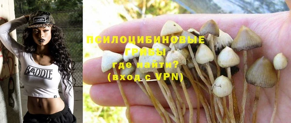 синтетический гашиш Алексеевка
