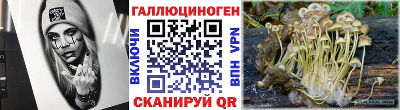 Галлюциногенные грибы Magic Shrooms  Завитинск 