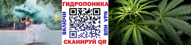 Бошки Шишки семена  Завитинск 